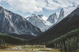 每日大赛91：套路这件事，我想说两句——看懂就稳了更稳，最值得反复看的就是它